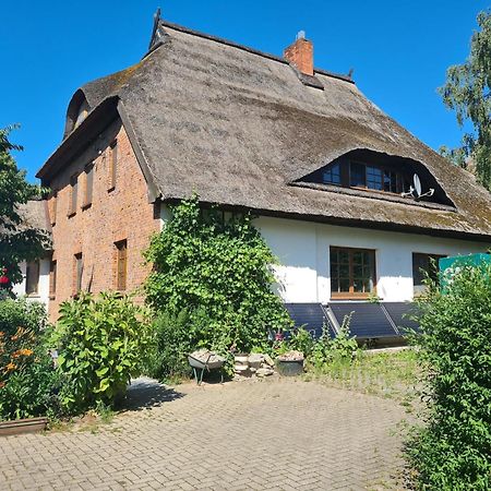Renovated Apartment In The Old Farmhouse Krusenhagen Bagian luar foto