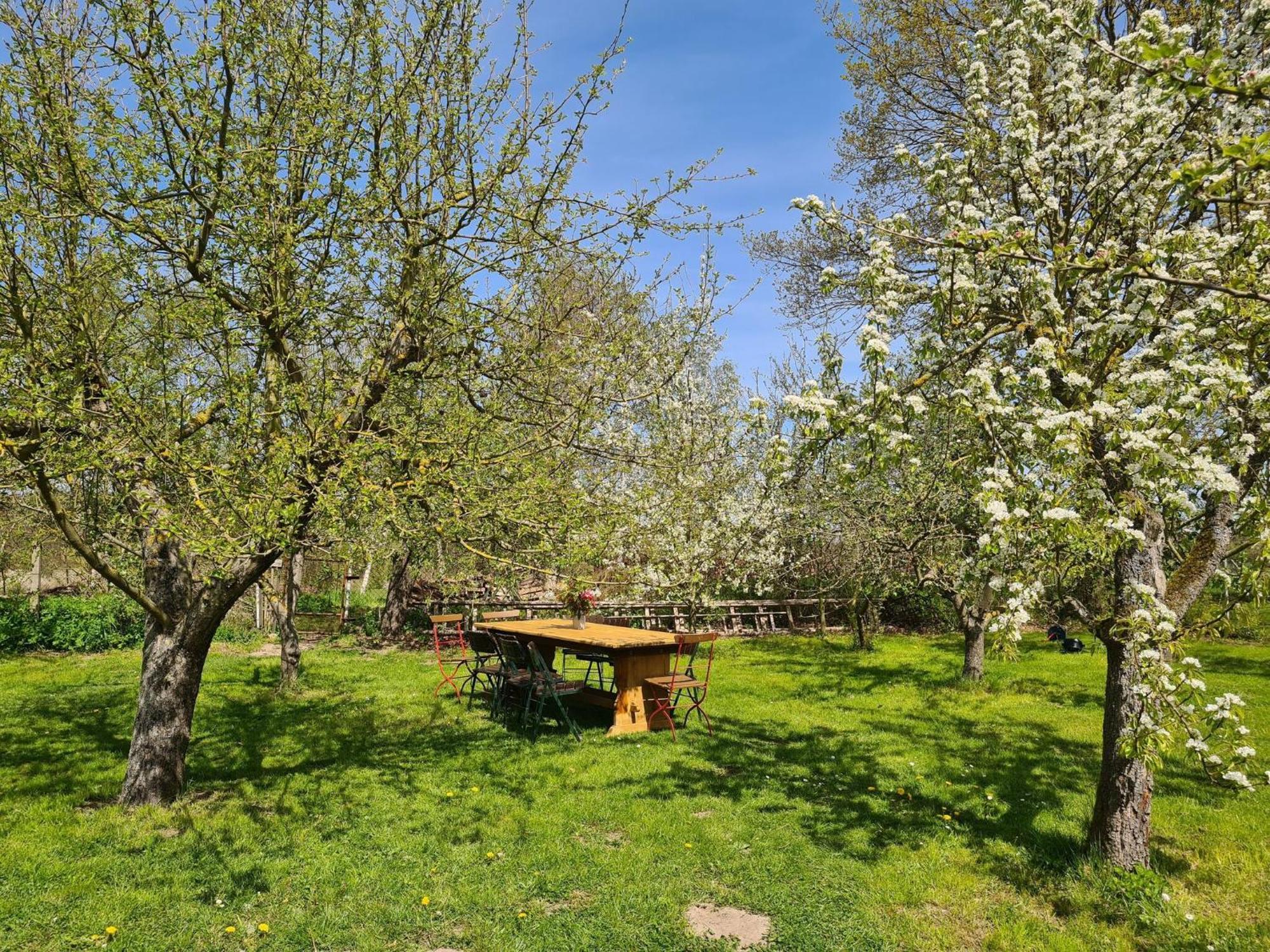Renovated Apartment In The Old Farmhouse Krusenhagen Bagian luar foto