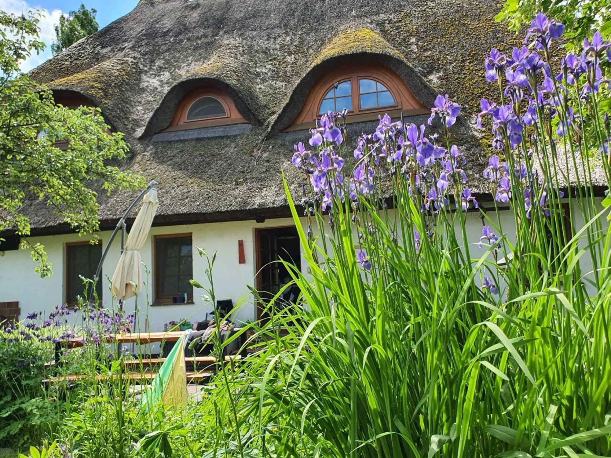 Renovated Apartment In The Old Farmhouse Krusenhagen Bagian luar foto