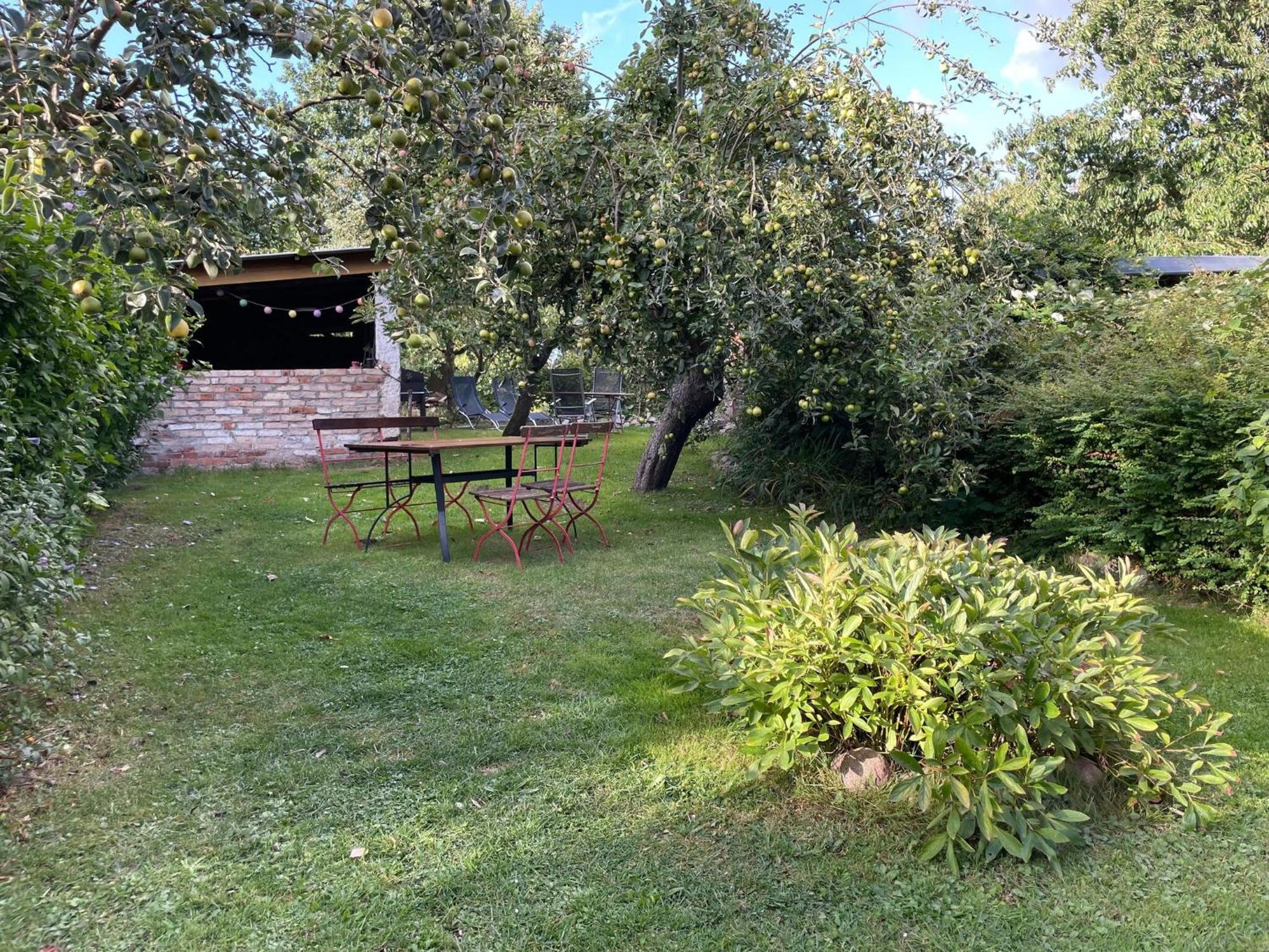 Renovated Apartment In The Old Farmhouse Krusenhagen Bagian luar foto